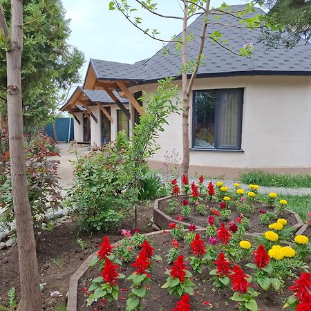 Happy Nomads Yurt Camp&Hostel Karakol Exterior foto