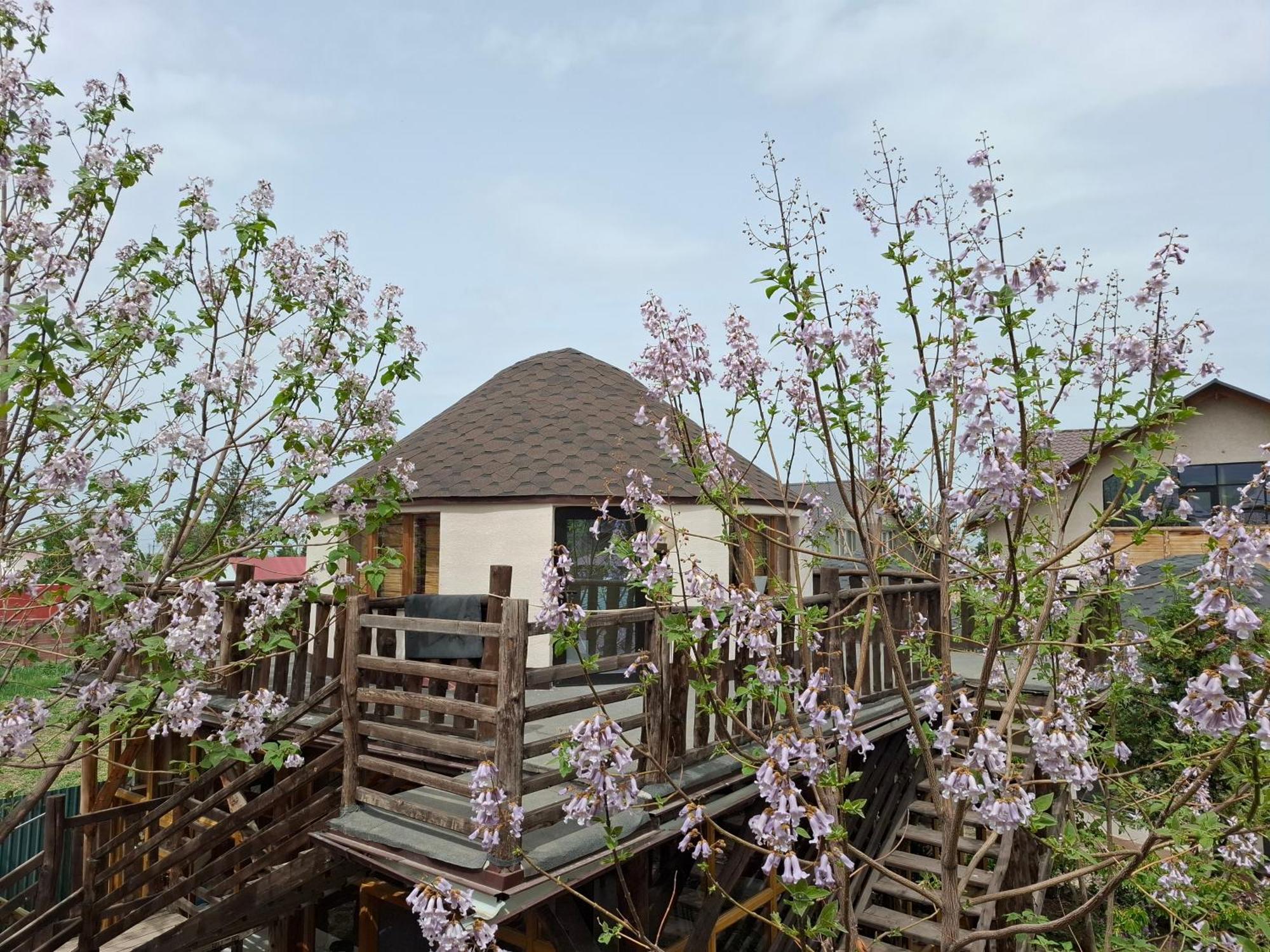 Happy Nomads Yurt Camp&Hostel Karakol Exterior foto