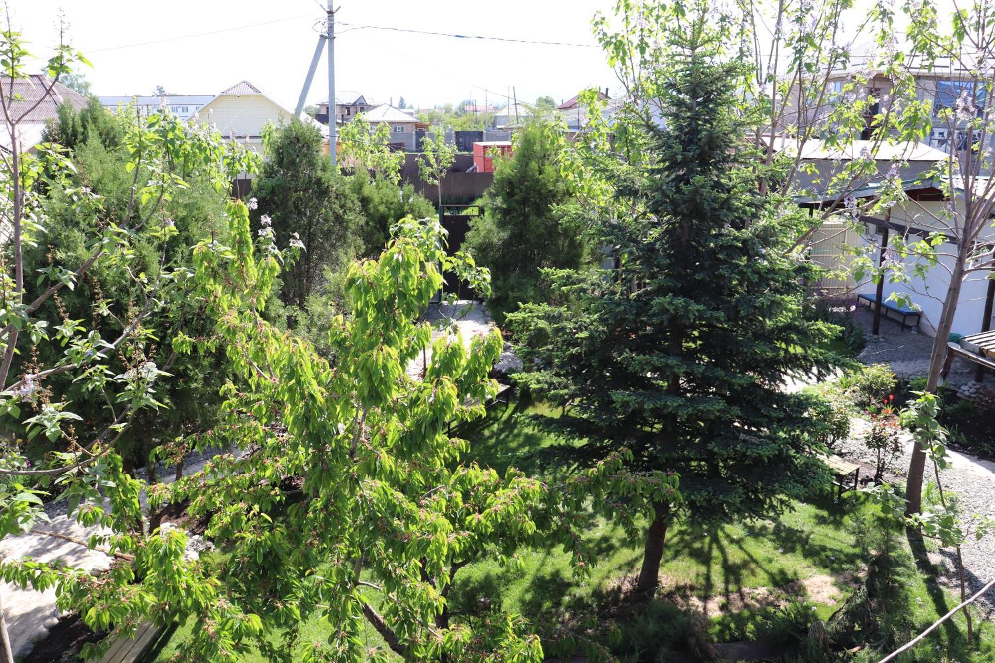 Happy Nomads Yurt Camp&Hostel Karakol Exterior foto